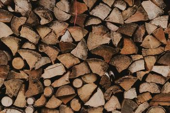 Oak firewood, split and dried — 400 m3, Telenești