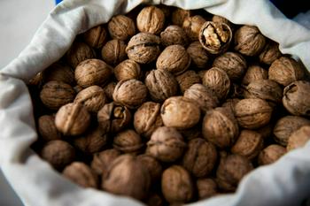 Walnuts in shell, 2026 harvest — 14 t, Ungheni