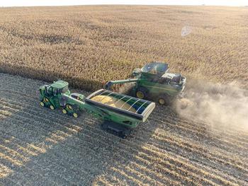 Maize, 2026 harvest — 400 t, Sîngerei