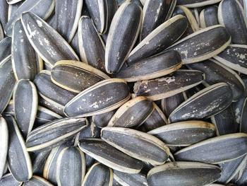 Sunflower seed, 2026 harvest — 400 t, Bălți
